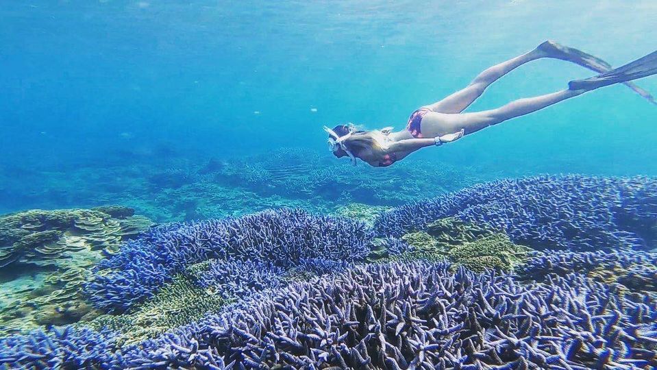 澎湖旅遊-南方四島浮潛